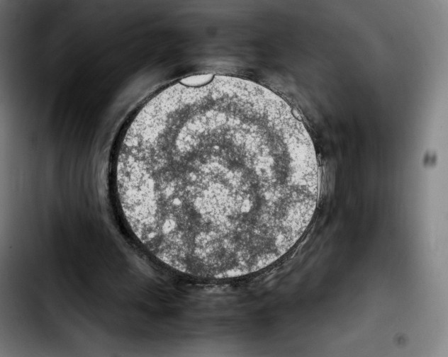 X0000103410243200810241215