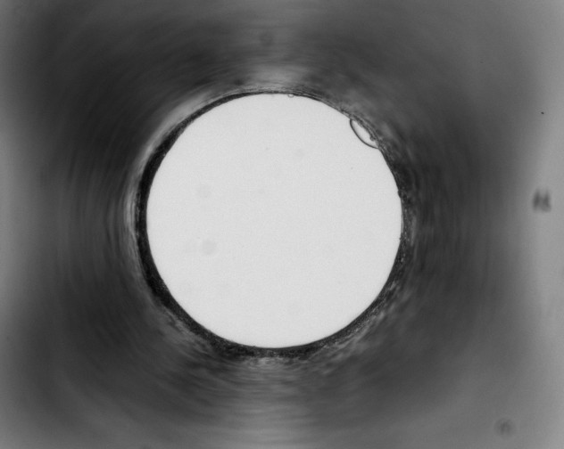 X0000103410244200810241215