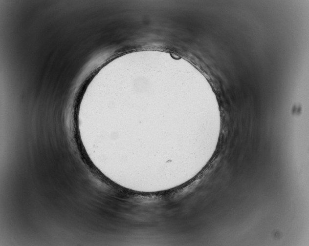 X0000103410245200810241215