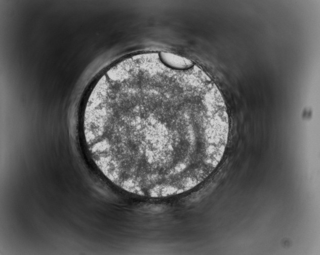 X0000103410247200810241215