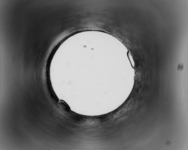 X0000103410248200810241215