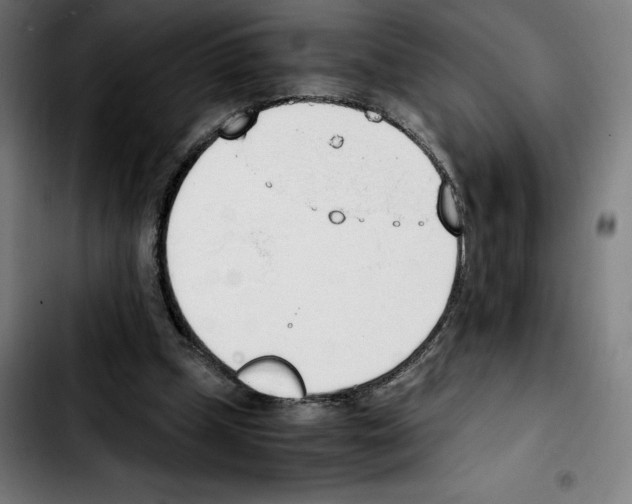 X0000103410249200810241215