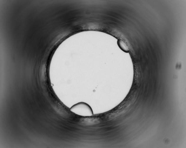 X0000103410251200810241215