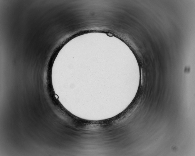 X0000103410252200810241215