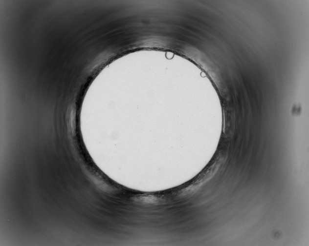 X0000103410253200810241215