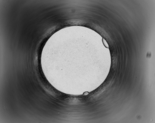 X0000103410254200810241215