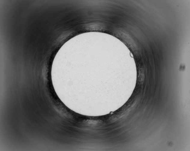 X0000103410255200810241215