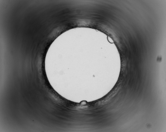 X0000103410257200810241215