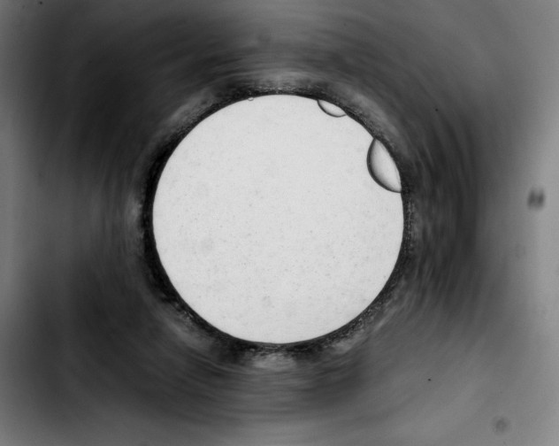 X0000103410258200810241215