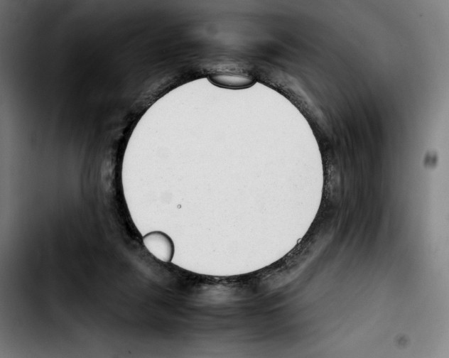 X0000103410259200810241215