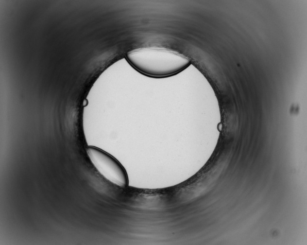 X0000103410260200810241215