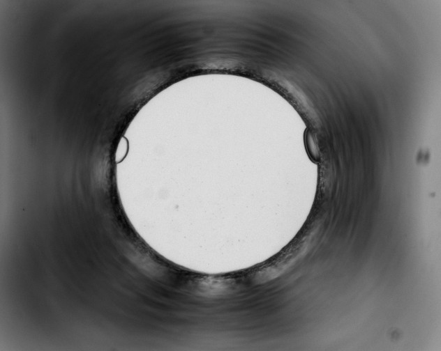 X0000103410261200810241215