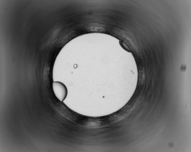 X0000103410263200810241215