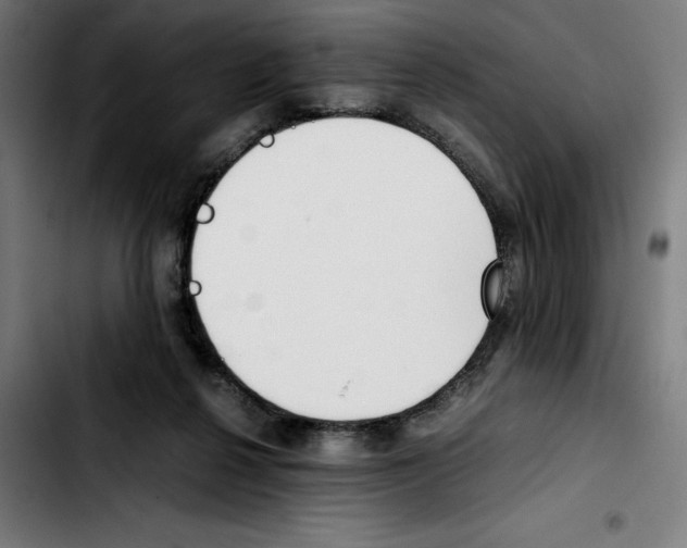 X0000103410264200810241215