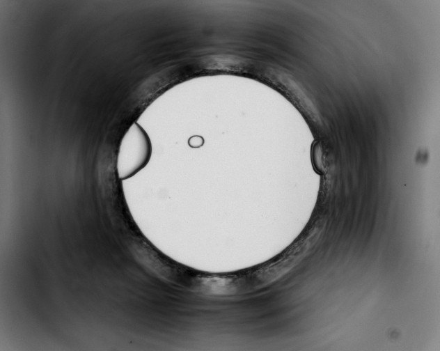 X0000103410265200810241215