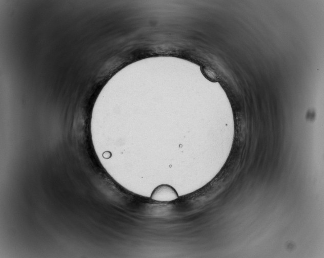 X0000103410266200810241215