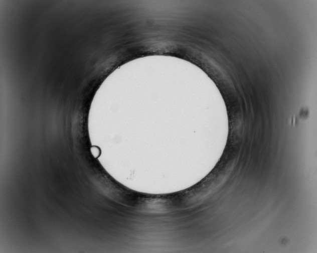 X0000103410268200810241215