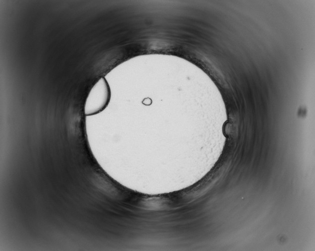 X0000103410269200810241215