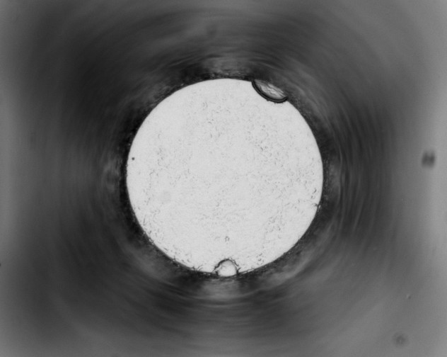 X0000103410271200810241215