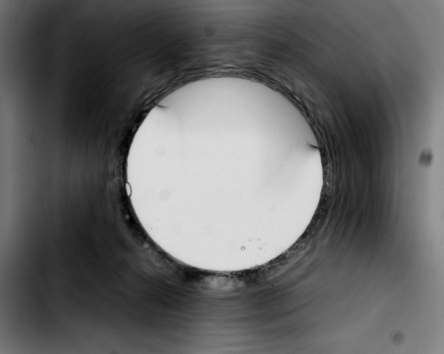 X0000103410272200810241215