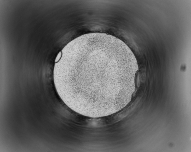 X0000103410273200810241215