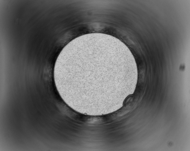 X0000103410274200810241215