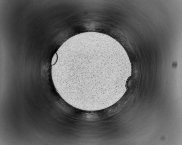 X0000103410275200810241215