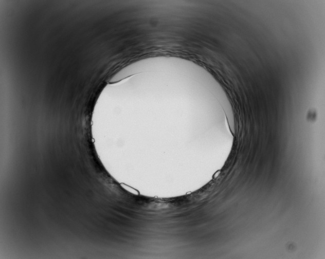 X0000103410276200810241215