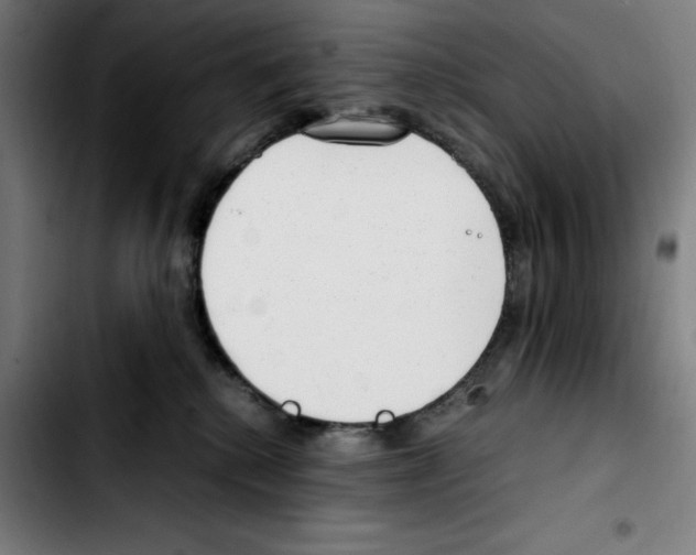 X0000103410280200810241215