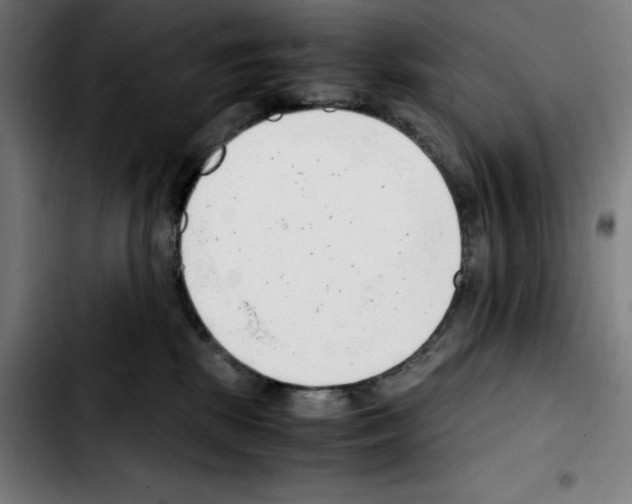 X0000103410281200810241215