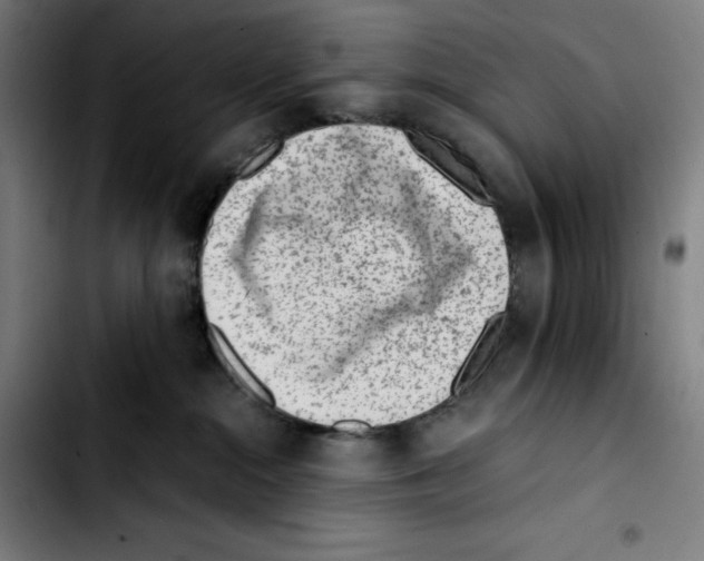 X0000103410284200810241215