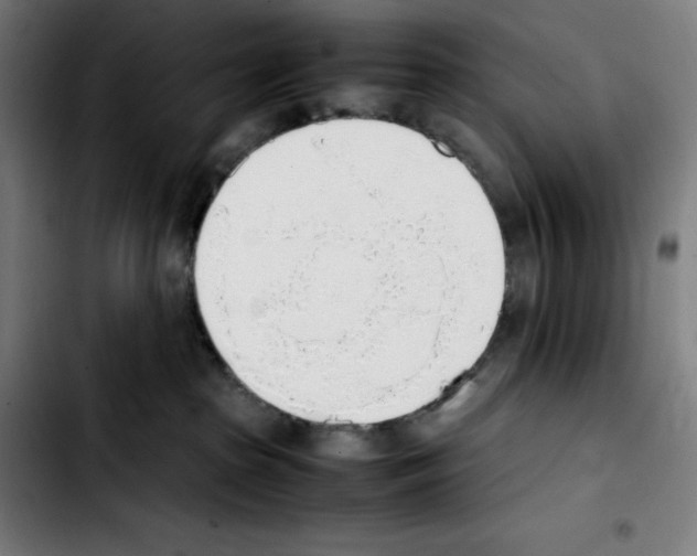 X0000103410285200810241215