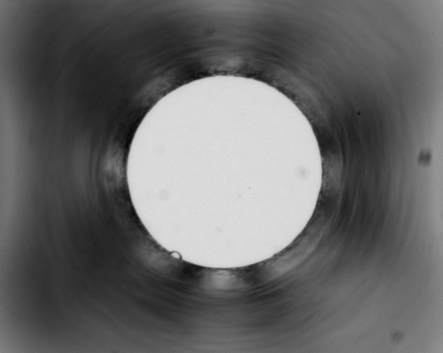 X0000103410287200810241215