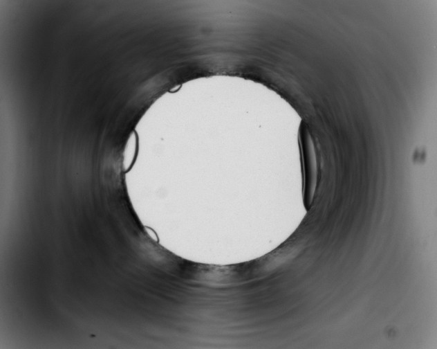 X0000103410288200810241215