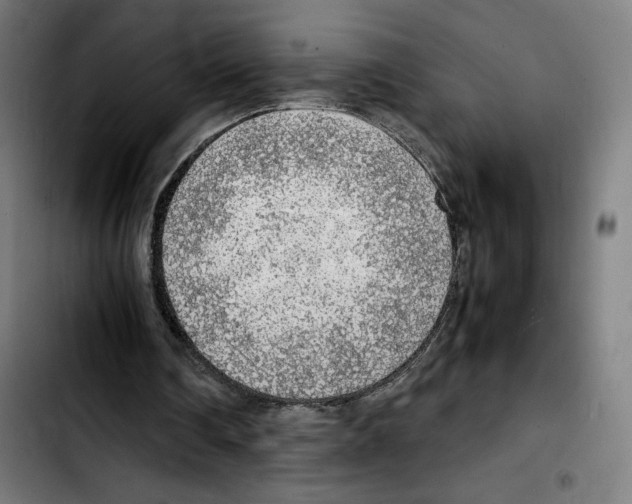 X0000103410290200810241215