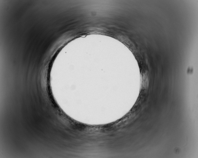 X0000103410291200810241215