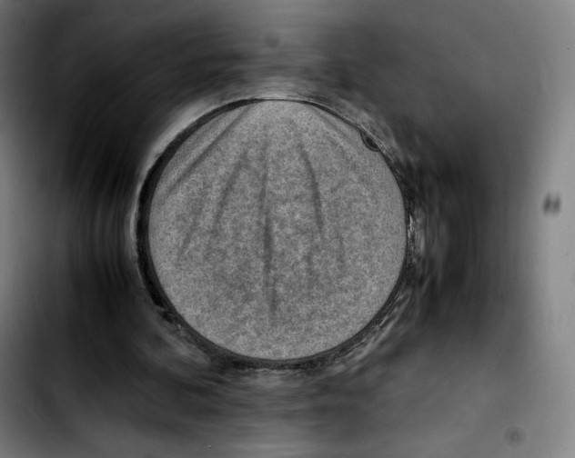 X0000103410292200810241215