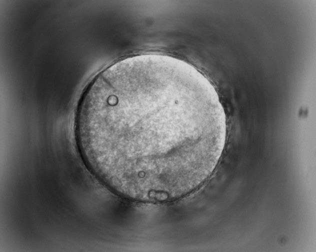 X0000103410293200810241215