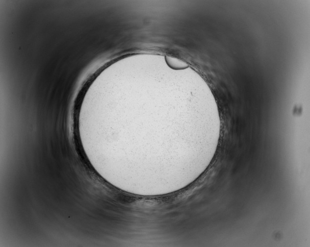 X0000103410294200810241215