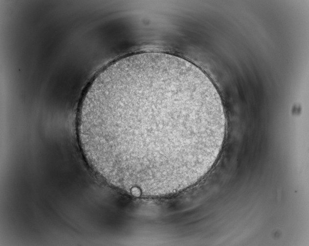 X0000103410297200810241215