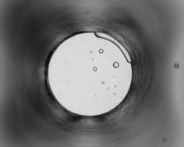 X0000103410299200810241215