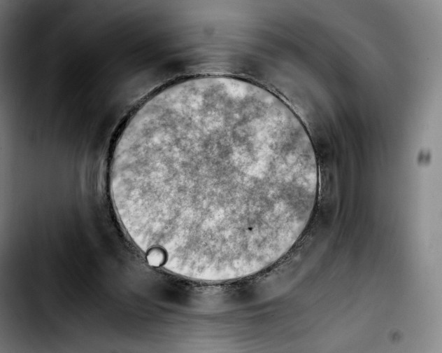 X0000103410301200810241215