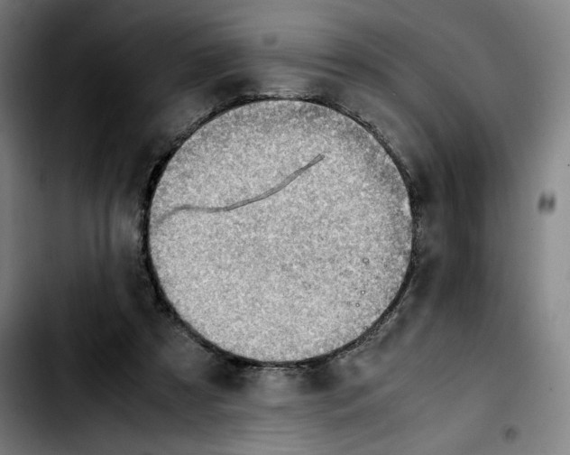 X0000103410305200810241215