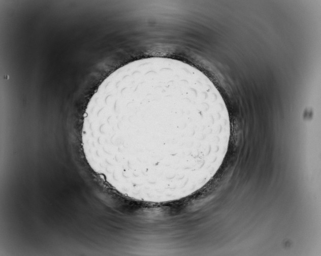 X0000103410307200810241215