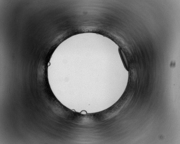 X0000103410308200810241215