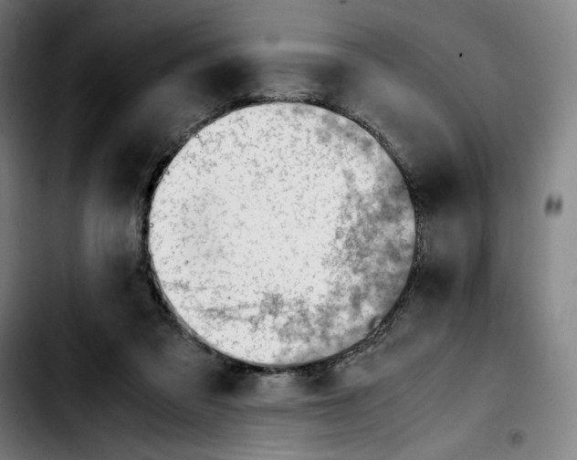 X0000103410309200810241215