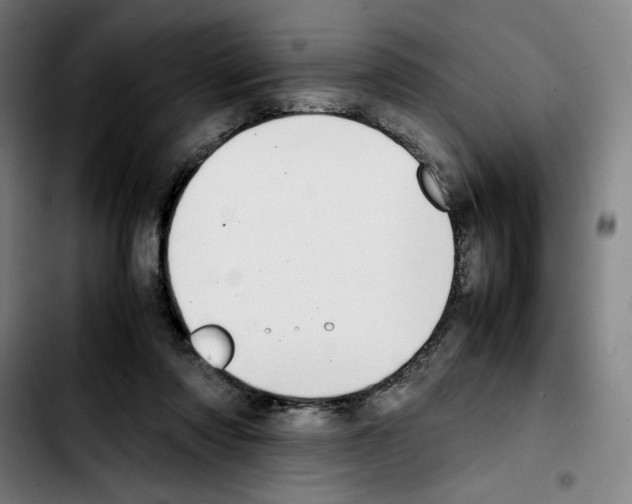 X0000103410310200810241215