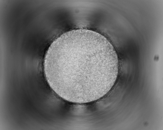 X0000103410313200810241214