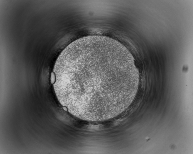 X0000103410314200810241214