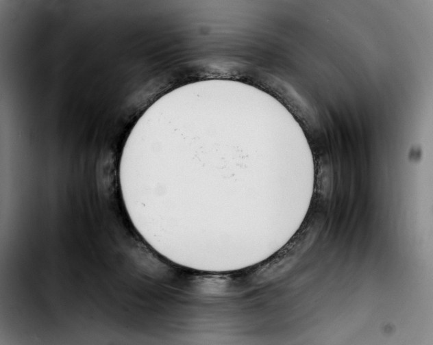 X0000103410318200810241214